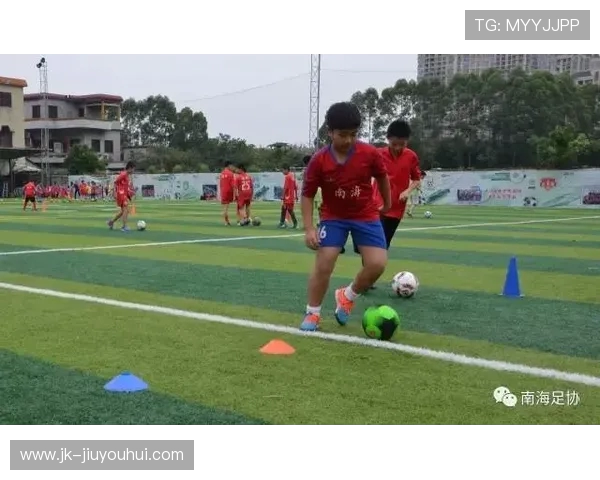 南海俱乐部足球发展历程与区域青少年培养体系建设研究